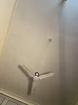 torchermachine online show from 04.08.26