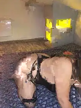 joujou95012 online show from 04.15.26