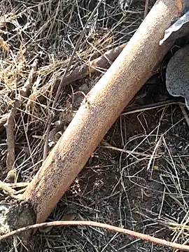 Snapshot of Vinita_cuty chatting on 02.09.26 Vinita cuty online show from 02.09.26