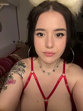 Snapshot of Venustrapp chatting on 02.14.26 Venustrapp online show from 02.14.26