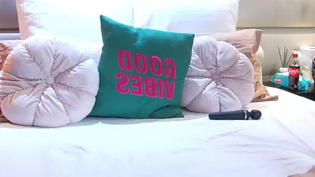 Snapshot of BlissArtX chatting on 02.04.26 BlissArtX online show from 02.04.26