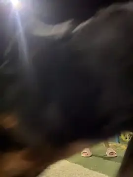 Snapshot of Arya___ chatting on 02.19.26 Arya online show from 02.19.26