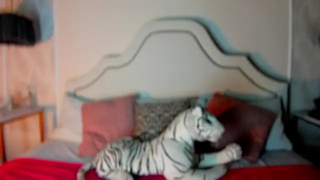 Snapshot of niicole_garner chatting on 02.11.26 niicole garner online show from 02.11.26