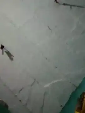 Hot ras28 online show from 03.01.26