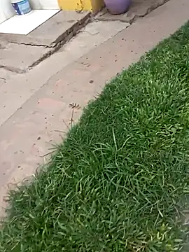 Snapshot of gordorichard chatting on 02.04.26 gordorichard online show from 02.04.26