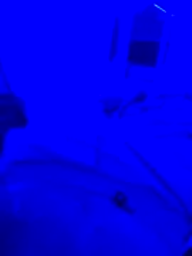 bojo69 online show from 02.13.26