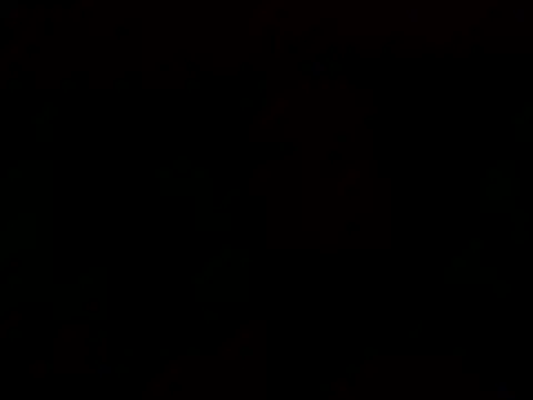 Tommyzzzzzz online show from 12.29.24