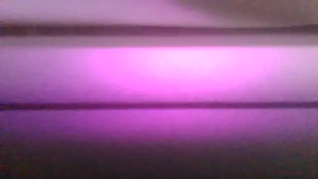 kaimsdecadus555 online show from 02.12.26
