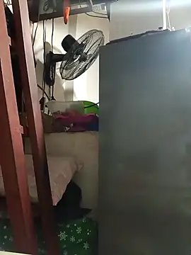 Snapshot of Wildcam21 chatting on 02.19.26 Wildcam21 online show from 02.19.26