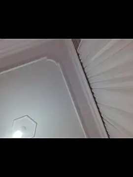 boraaily online show from 02.19.26