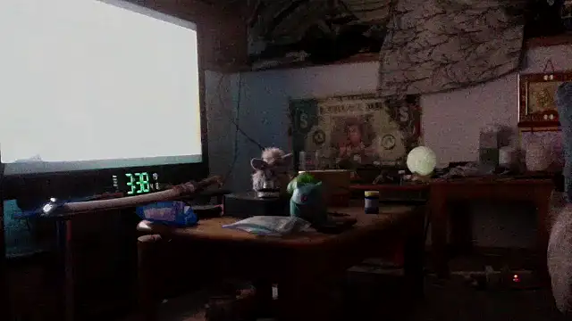 dixiedevin online show from 04.08.26