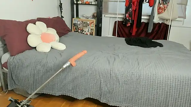 CalmFever online show from 02.19.26