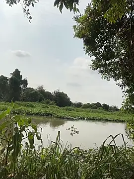 Lewd couple online show from 04.20.26