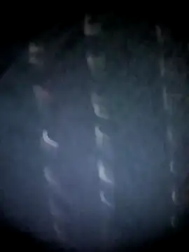 BIG QWEEN NO1 online show from 03.12.26