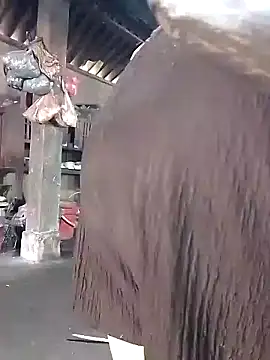 Nhoccon90 online show from 03.16.26