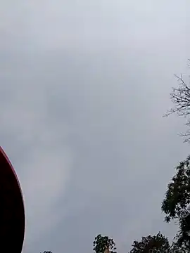 Linka998 online show from 04.05.26