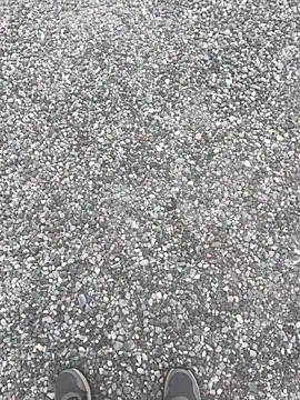 stallone italiano 62 online show from 04.12.26