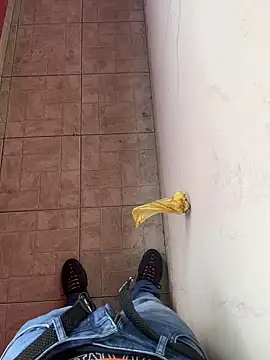 novinhogozando online show from 02.19.26