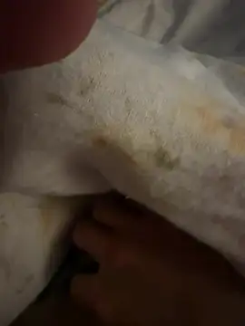 sbollando13 online show from 02.08.26