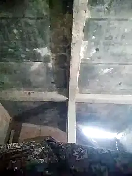 Loomaraj online show from 04.11.26