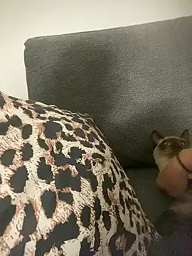 Snapshot of little_dreamer_ chatting on 03.09.26 little dreamer online show from 03.09.26