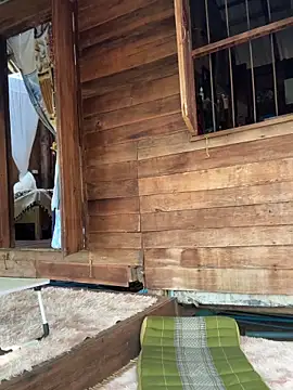 fairy bell online show from 03.05.26