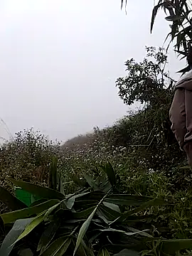 lovely-742 online show from 03.07.26