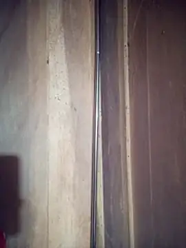 toyo 668 online show from 04.18.26