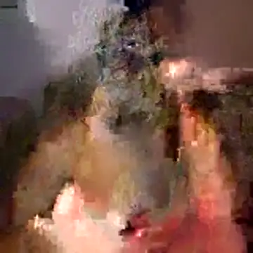 tubellaflor online show from 03.01.26