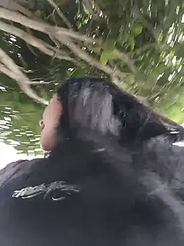 Freckless  online show from 03.23.26