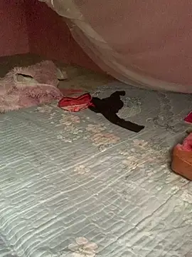 baeas-lan online show from 04.21.26