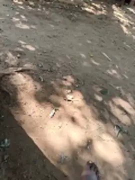 Locky kamani online show from 02.16.26