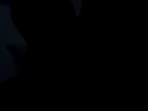 Milwokee online show from 02.23.26