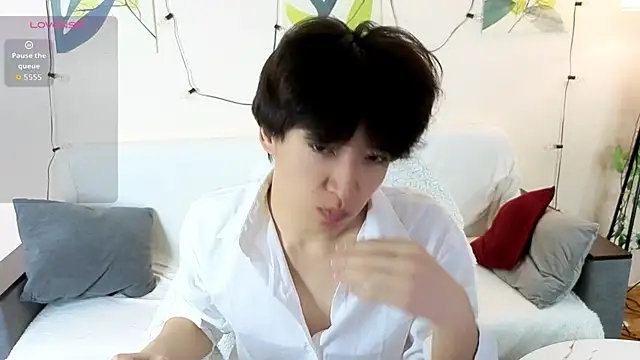 DianInav online show from 04.07.26