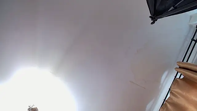 VioletVIP online show from 03.12.26