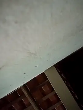 euchapo99 online show from 04.04.26