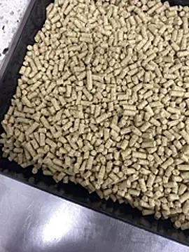 Elmanc online show from 02.26.26