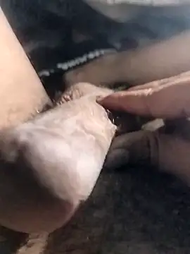 taherDzzf online show from 04.17.26