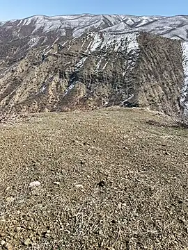 TurkeyMen online show from 03.03.26