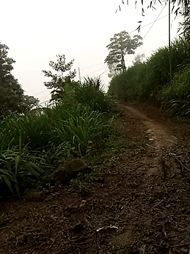 Nth5h online show from 04.18.26