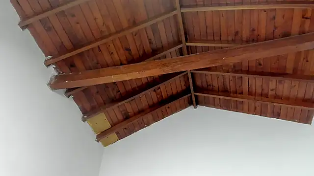 TonyPetrovjs online show from 03.15.26