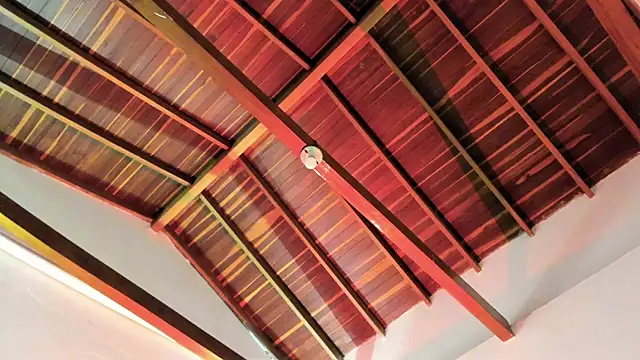 TonyPetrovjs online show from 04.03.26