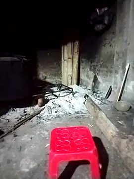 Snapshot of ngocbao11 chatting on 03.01.26 ngocbao11 online show from 03.01.26