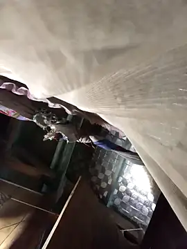 Snapshot of Big-all012 chatting on 02.23.26 Big-all012 online show from 02.23.26