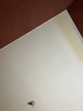 MoonGoddess424 online show from 02.24.26