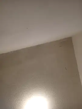 priscilaf online show from 04.07.26