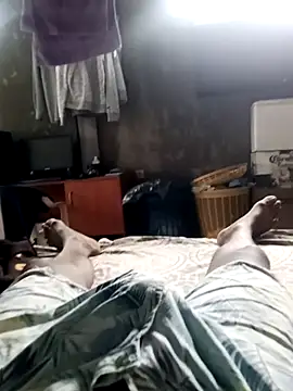 Javier 068 online show from 04.07.26