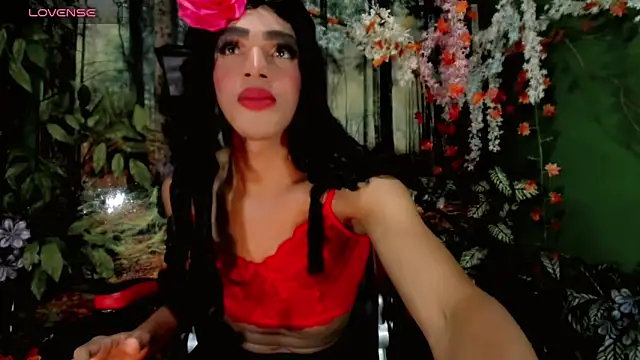 Tait  online show from 03.03.26