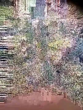 Ambala1 online show from 04.21.26