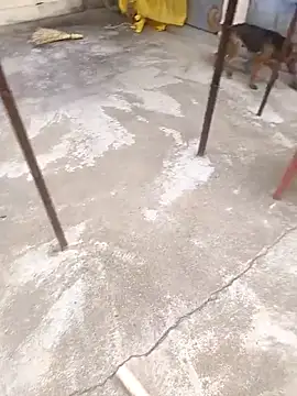 Snapshot of mylove202022 chatting on 03.15.26 mylove202022 online show from 03.15.26